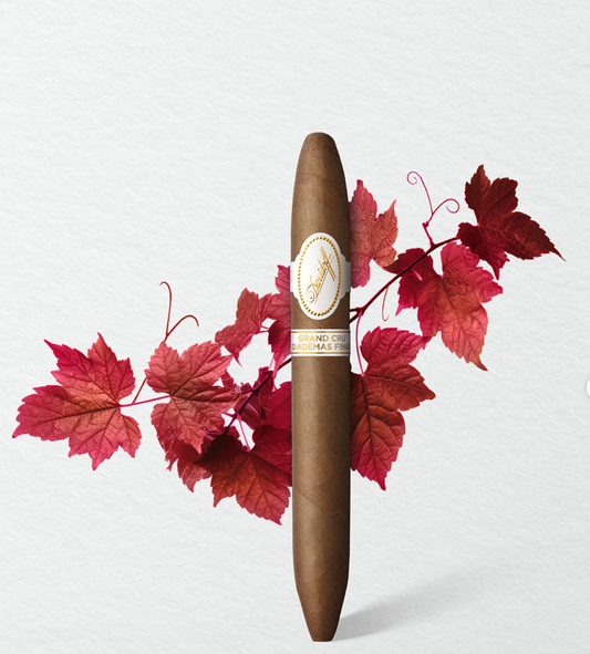 4 Key Points for Cigar Care